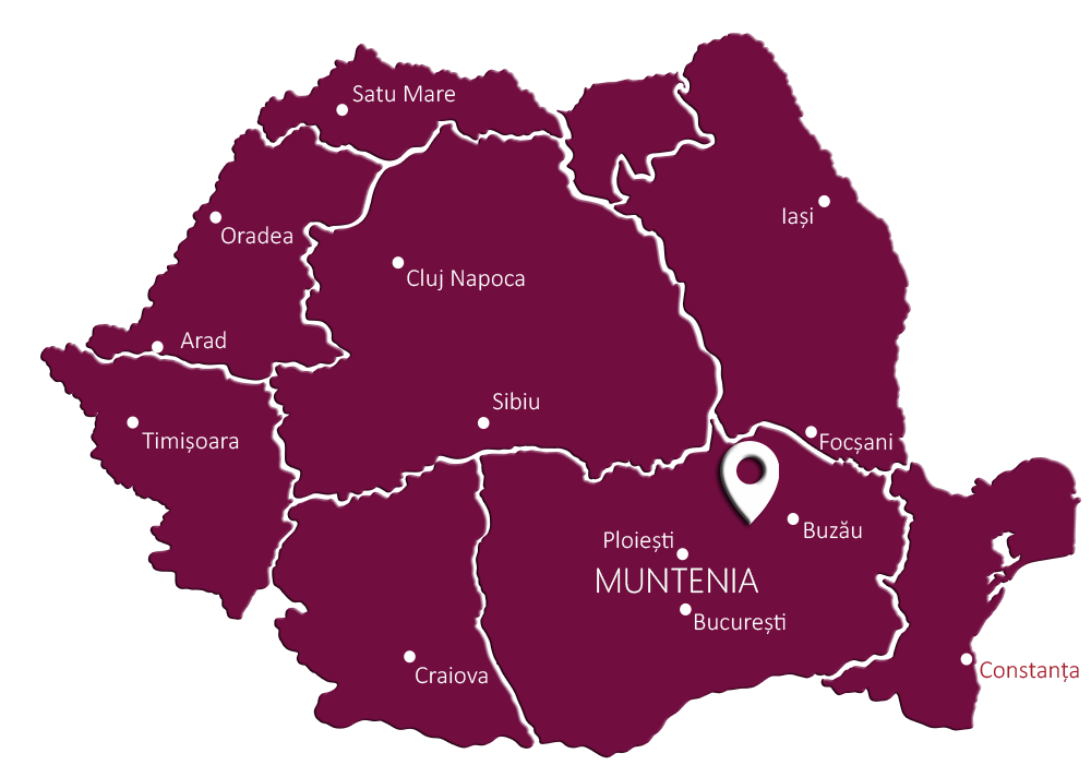 Aurelia Visinescu Map